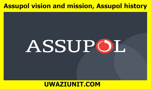 Assupol vision and mission, Assupol history