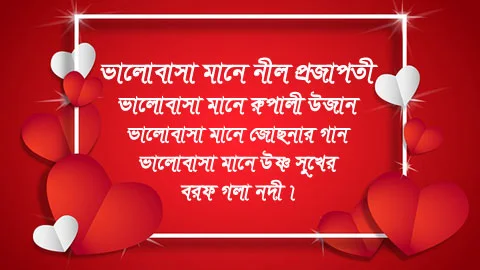 Bengali Shayari With Picture