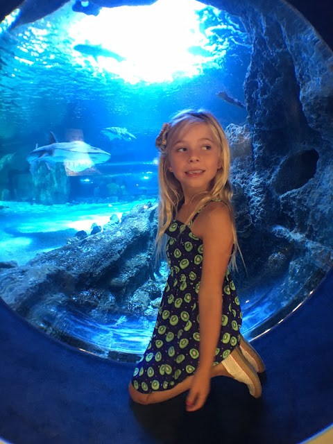 Little girl sitting next to Aquarium with shark