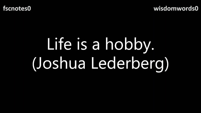 Life is a hobby. (Joshua Lederberg)