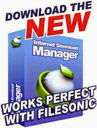 IDM Internet Download Manager 6.23 Build 12 Crack Free Download