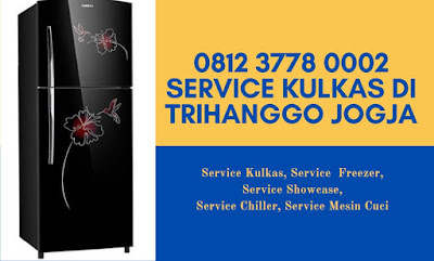 Service Kulkas Di Trihanggo