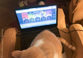Real Cat Webster sitting on laptop