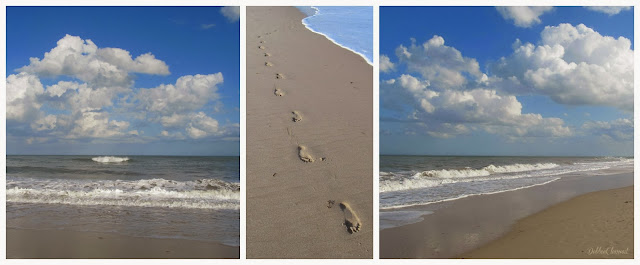 Picmonkey Beach Collage by Debbie Clement