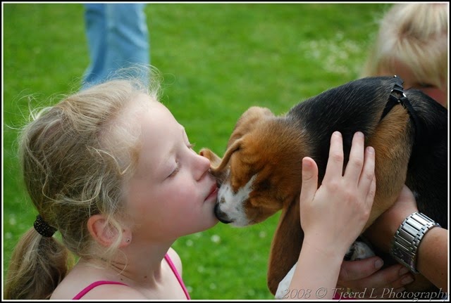 DSC_0442 DSC_0442