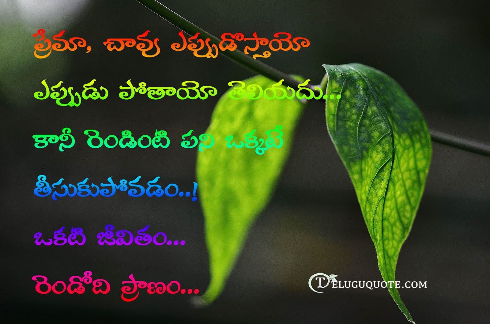 Love Death Quotes In Telugu Telugu Quotes