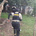 DNCD incauta más de 560 kilogramos de drogas y apresa 1,990 personas