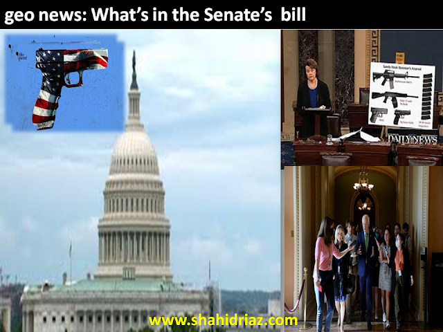 geo news: What’s in the Senate’s new gun control bill