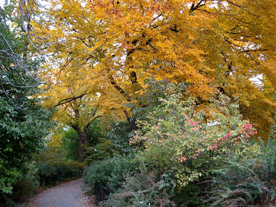 Strawberry Fields Fall Colors