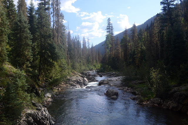 Vallecito Creek from the second bridge