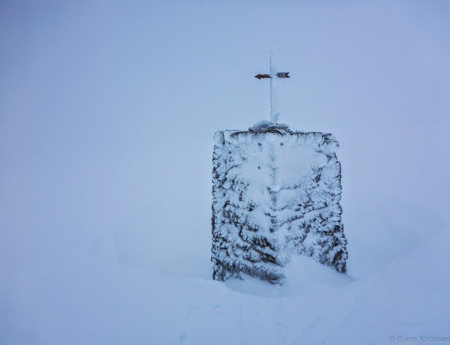 Varde 82 (1 of 1)