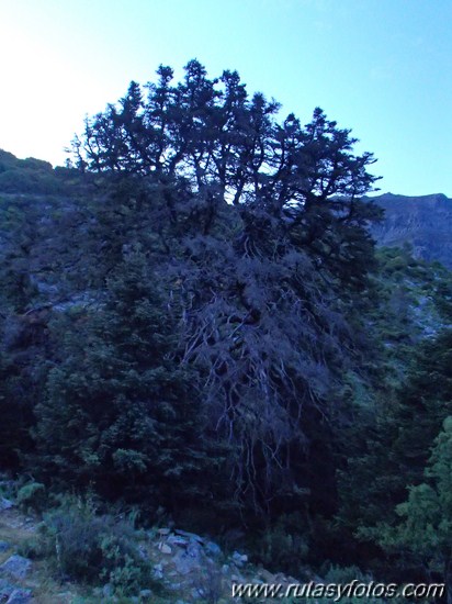 Barranco del Cambullon de Velez