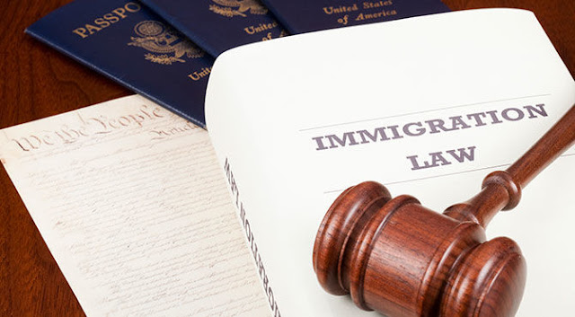  Immigration lawyer