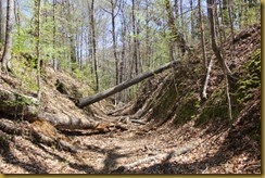 IMG_5053 IMG_5053
