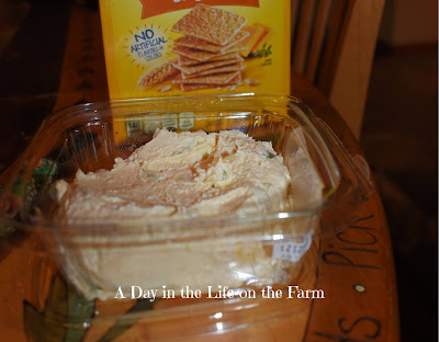 asiago/artichoke dip with crackers