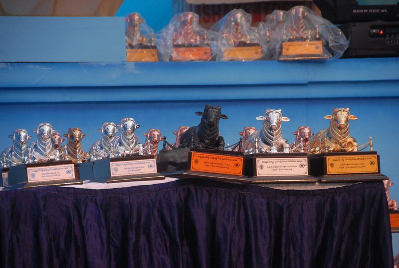 [2010+nandi+awards+photo+gallrey+25-706285.jpg]