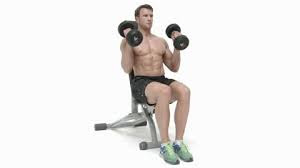 seating hammer curls