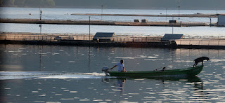 On the water with his faithful friend