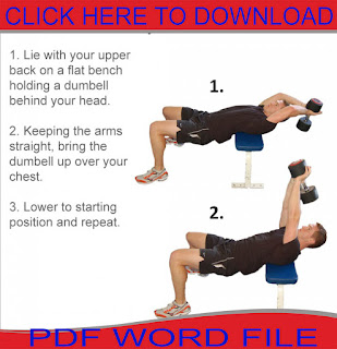 Chest Workouts