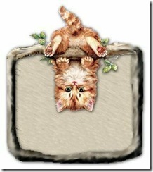 !!!kittyhangingaround!!!