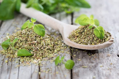 Beneficios hierba aromatica oregano