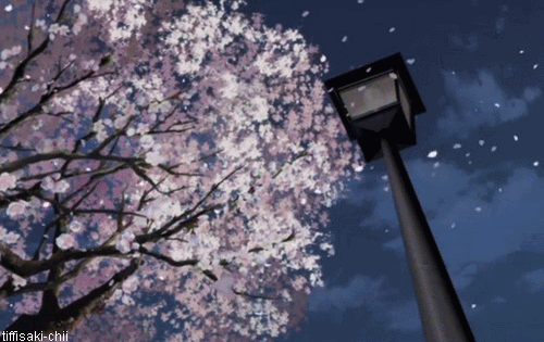 Loker Gege ^_^: Cerpen "Ketika Cherry Blossom Itu Gugur"