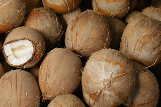 Buah kelapa penuh potensi bisnis