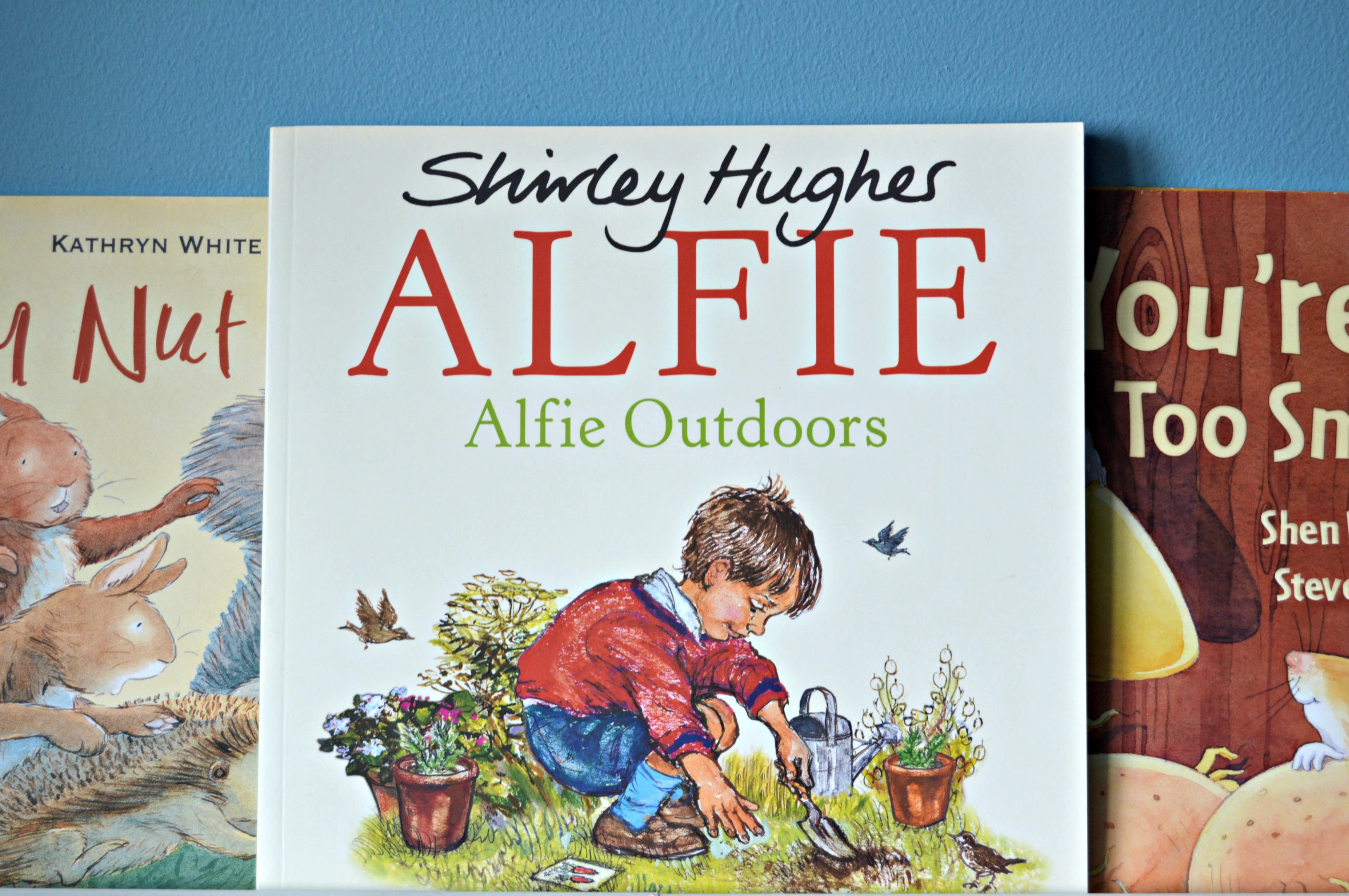 Alfie Outdoors Book