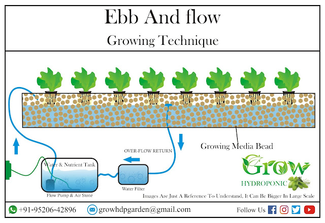 Ebb and Flow Hydroponic System ईबब और फ्लो