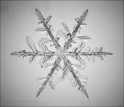 I want a snowflake tattoo Only beacuse I like snow And snowflakes