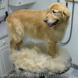 furminator (d)