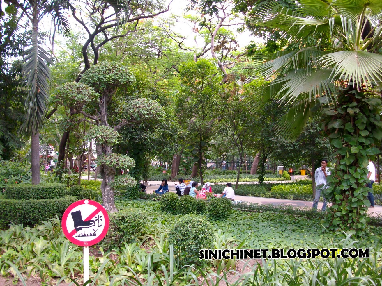 Taman Flora Kebun Bibit Bratang Surabaya Sinichinet