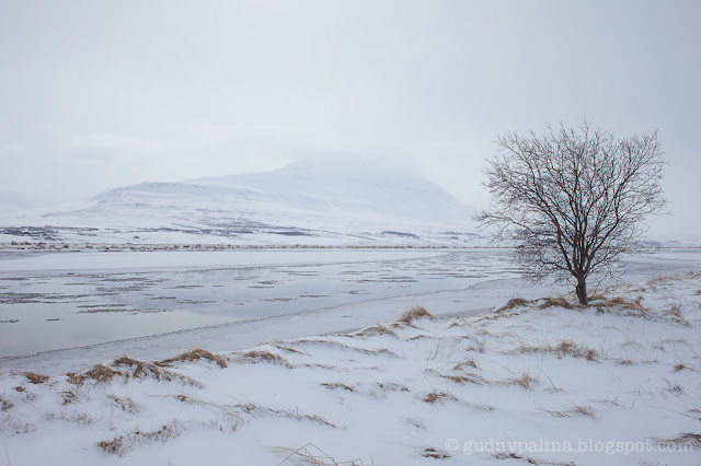 Guðný Pálína Sæmundsdóttir, landscape, iceland