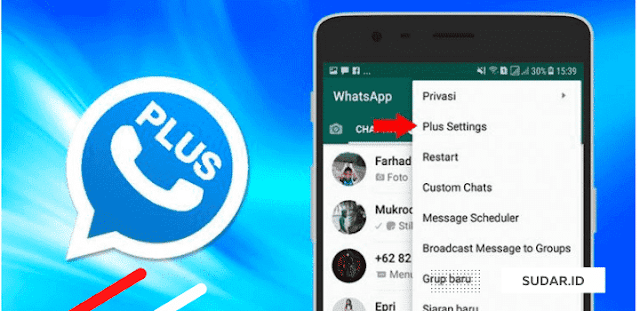 Berbagai Fungsi Menarik WhatsApp Plus Apk Terbaru