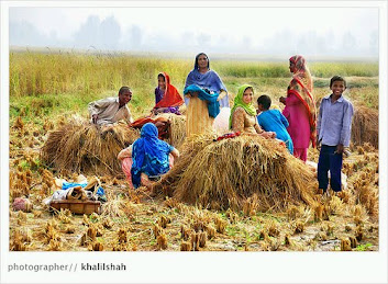 punjabi culture