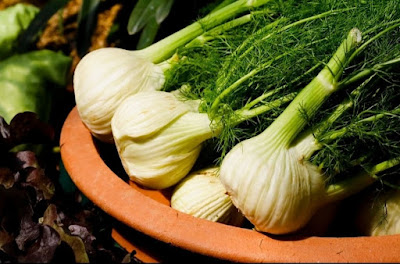 Fennel