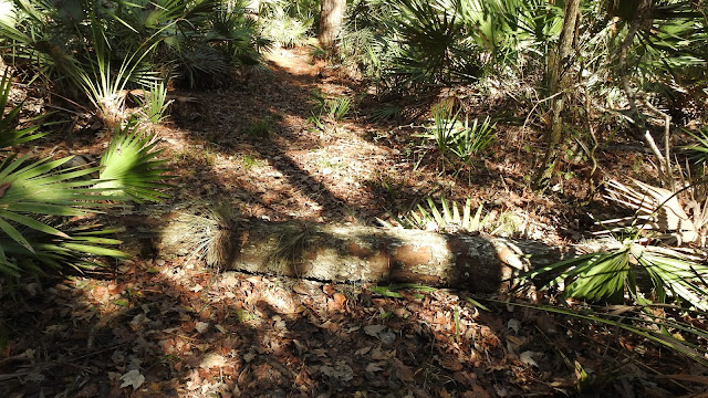 Rice Creek Conservation Area