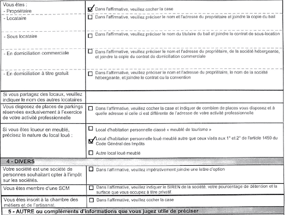 Questionnaire relatif a l activité professionnelle declaration CFE lmnp