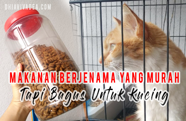 Apa Makanan Kucing Berjenama Yang Murah Tapi Bagus 