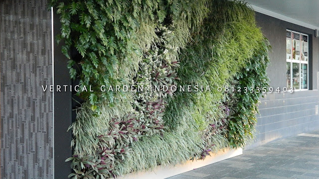 VERTICAL GARDEN INDONESIA SPESIALIS JASA PEMBUATAN VERTICAL GARDEN DI PATI JAWA TENGAH DAN DI SELURUH WILAYAH JAWA TENGAH DENGAN TENAGA YANG PROFESIONAL DAN DAPAT DI PERCAYA YANG SELALU MENGUTAMAKAN SEBUAH MUTU DAN KUALITAS PEMASANGAN VERTICAL GARDEN/TAMAN DINDING, JASA TUKANG TAMAN VERTICAL PATI JAWA TENGAH, JASA VERTICAL GARDEN PATI JAWA TENGAH