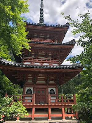 三室戸寺 あじさい園