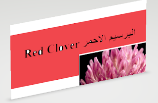 Red Clover البرسيم الأحمر