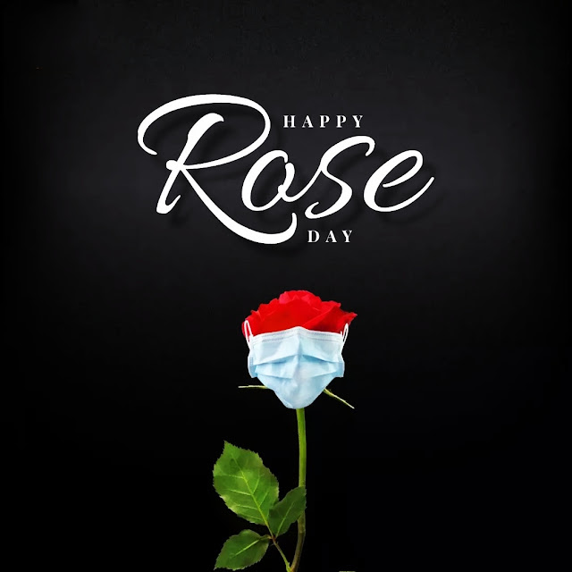 Love Rose Day Images