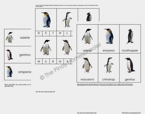 Antarctic