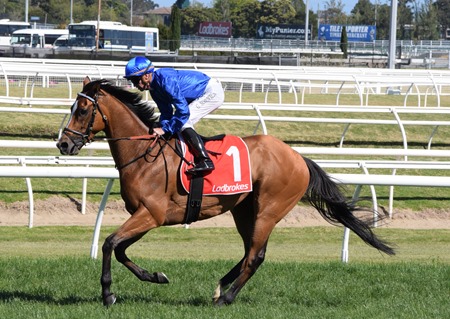 caulfield stakes_hartnell 3