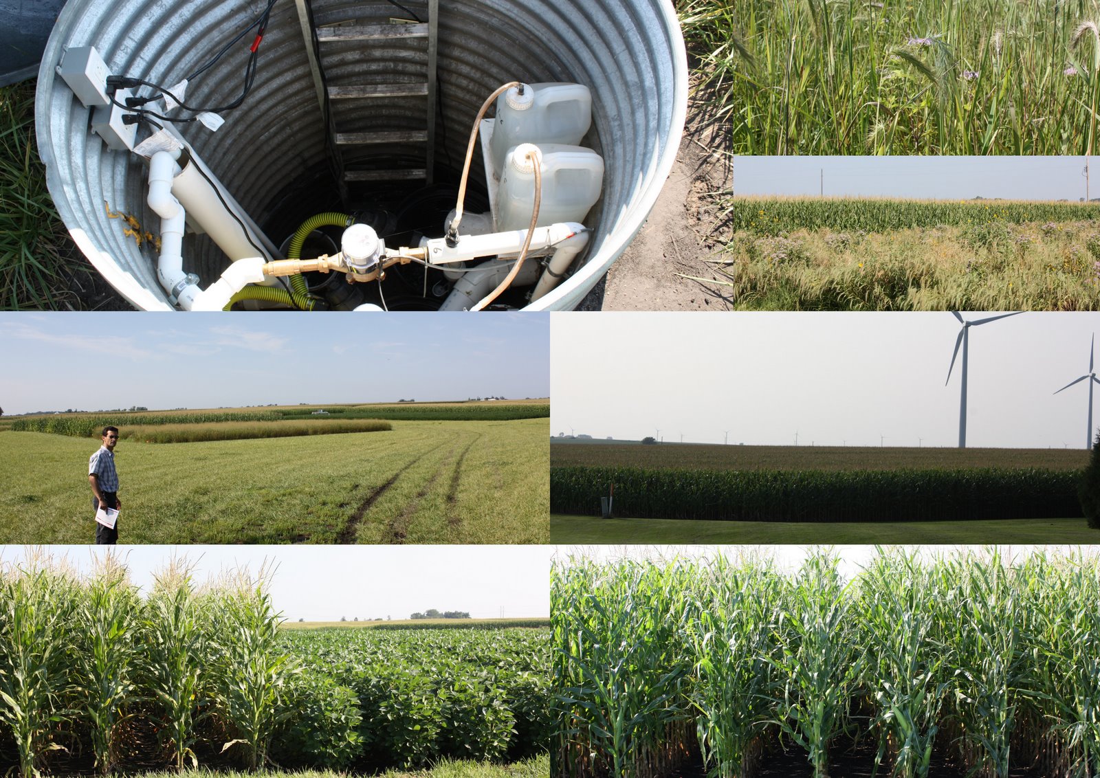 Iowa State Uni crop trials