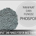 Manfaat Dan Fungsi Fosfor Atau Phosphor (P) Bagi Tanaman