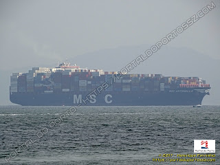 MSC Antonella