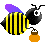 Bichinhos (52)