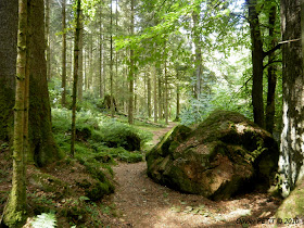 GERARDMER (88) - Le sentier écologique des Perles de la Vologne 